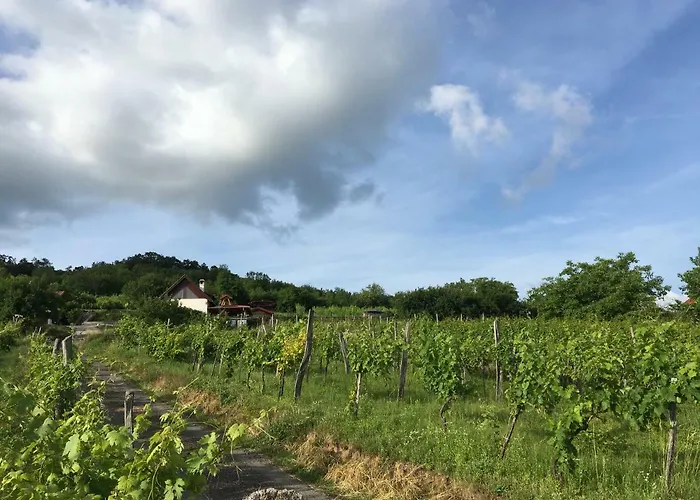 Kikapcsol-lak Vakantiehuis *